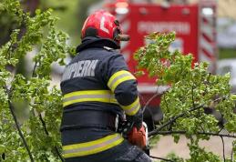 În mai puțin de o oră pompierii au intervenit la patru incidente produse de vântul puternic