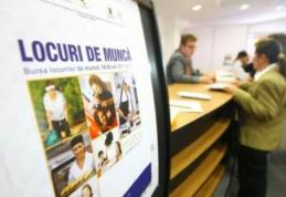 195 locuri de munca vacante in Uniunea Europeana - AJOFM Botosani