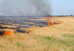 Primăria Dorohoi: Măsuri privind prevenirea incendiilor de vegetaţie uscată produse ca urmare a utilizării focului pentru curăţarea terenurilor de pe 
