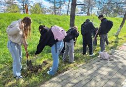 Elevii Colegiului Național „Grigore Ghica” Dorohoi, exemplu de responsabilitate față de natură