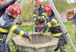 Ied salvat de pompieri după ce a căzut într-o fântână