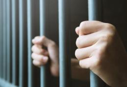 Închisoare cu executare după ce și-a ucis propriul câine. Sentință definitivă. Un bărbat din Suceava, dus direct la penitenciarul Botoșani