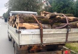 Amendă de 2.000 de lei și material lemnos confiscat