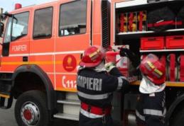Misiune grea pentru pompieri: 9 incendii într-o singură zi