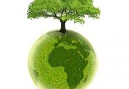 Mişcarea pentru Botoşani va ecologiza zona pădurii Gorovei
