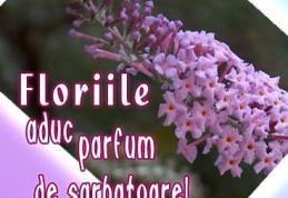 Obiceiuri şi superstiții: Ce nu ştiai despre Duminica Floriilor
