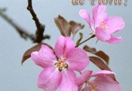 La Mulți Ani de Florii!