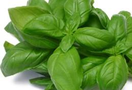 10 beneficii ale busuiocului de Paşti