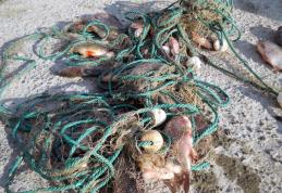 Dosare penale pentru pescuit cu unelte interzise