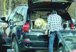 Andreea Marin şi-a luat copiii, Bănică jr. - câinele!