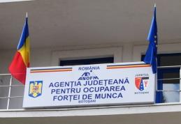 AJOFM Botoșani: Ziua informării pentru șomeri și angajatori