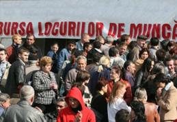 AJOFM Botoşani: Vezi posturile vacante, anunţate la Bursa locurilor de muncă de vineri