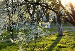 După 4 mai vin ploile. Vezi prognoza meteo până pe 10 mai