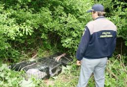 Contrabandişti reţinuţi la frontiera de Est