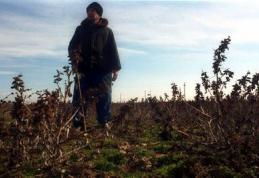 Străinii ne cumpăra țara la hectar, în timp ce maghiarii fac închisoare dacă vând teren agricol altora decât indigenilor
