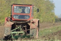 Producătorii agricoli pot depune la APIA cererile pentru ajutor