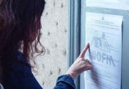 Peste 300 de dorohoieni în căutarea unui loc de muncă