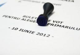 Vezi lista primarilor aleşi în municipiile, oraşele şi comunele din judeţul Botoşani