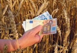 Agricultorii pot primi despăgubiri dacă au suferit pagube din cauza vremii