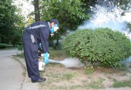 ANUNŢ IMPORTANT: Acțiuni de combatere a dăunătorilor la Dorohoi