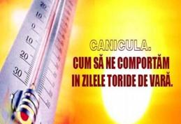 Sfaturi de la pompieri pentru zilele caniculare