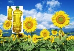 Șase milioane de euro investesc italienii la Păltiniş într-o fabrică de ulei 