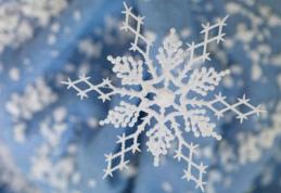 La jumătatea lunii Noiembrie, vine iarna