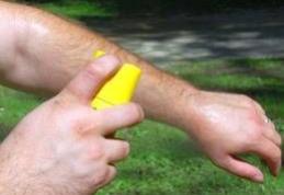 Remedii naturiste eficiente împotriva țânțarilor