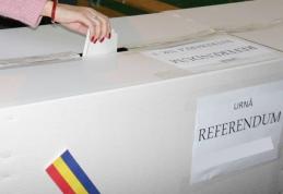 Românii din Diaspora vor să voteze la referendum