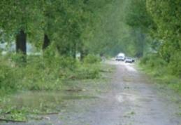 Vijelia de duminică seară a făcut ravagii. Vezi localităţile afectate de grindină!