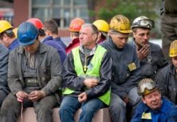 ANOFM: Aproximativ 5000 de şomeri şi 50.000 de angajaţi în judeţul Botoşani