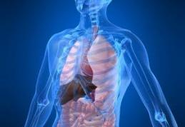 Află lucruri inedite despre organismul tău. 10 curiozităţi neştiute despre corpul uman