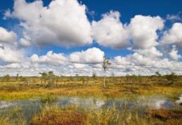 PROGNOZA METEO pentru următoarele două săptămâni