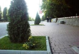 Spaţii verzi vandalizate in Dorohoi