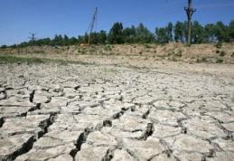 Urmează două luni de caniculă şi secetă. Se crapă pământul!