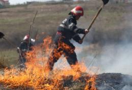 Nouă incendii de vegetaţie uscată în mai puţin de şase ore