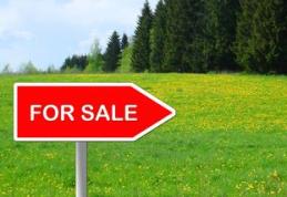 Vezi ce trebuie să știi atunci când cumperi un teren