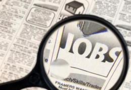 Peste 5000 de persoane înregistrate la AJOFM Botoșani, în căutarea unui loc de muncă 