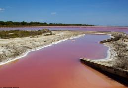 Un fenomen natural extraordinar: Lacul din Franţa care a devenit roşu ca sângele 