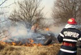 Incendiu de vegetație uscată stins după mai bine de opt ore