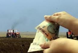 Fermieri, ați fost loviți de secetă? Aflați cum puteți primi despăgubiri înainte de termen