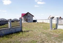 Hoţi cu tupeu: Vezi ce primar a rămas fără porţile de fier forjat care aveau peste 700 kg