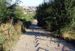 Iresponsabilitate civică: Ce mai trebuie distrus în Dorohoi?