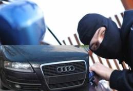 Dorohoieni lăsați fără plăcuţele de înmatriculare ale maşinilor