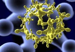 Un nou VIRUS PERICULOS pune pe jar lumea medicală