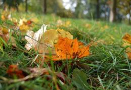 Vremea îi sperie pe meteorologi. Vezi ce temperaturi vor fi la începutul lunii octombrie