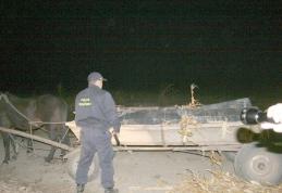 Contrabandişti prinşi în flagrant la Bobuleşti - VIDEO/FOTO