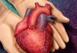 Donarea de organe dupa moarte, optiune in cardul de asigurat