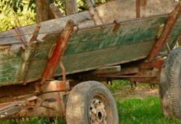 O femeie din Văculești a murit după ce hamurile de la căruța în care se afla s-au rupt