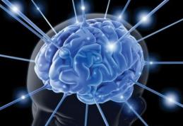 Abuzul de alcool poate micşora creierul